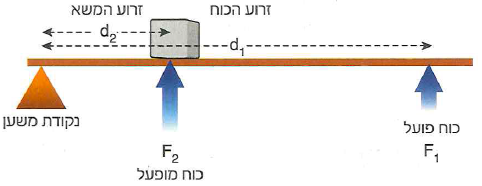 (בספר שני איורים, היעזר במנחה)